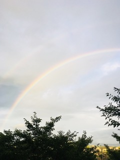 61E2F52E-7DC5-4F5C-A666-8286AA58EAF2.jpeg